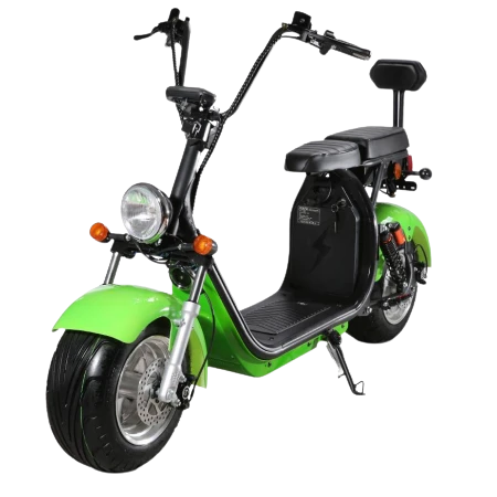 Moto électrique à deux roues, 1500W, 45 km/h